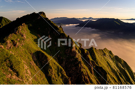 朝焼けに染まる谷川岳オキの耳・大雲海 81168576