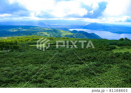 北海道の夏 藻琴山からの屈斜路湖の眺望 北海道の夏 藻琴山からの屈斜路湖の眺望 81168603