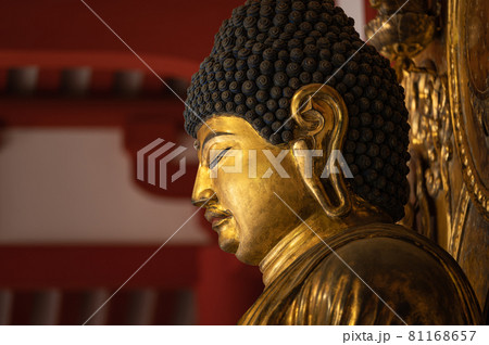 慧日寺跡 薬師如来坐像 国指定史跡 本寺地区 慧日寺跡 薬師如来坐像 国指定史跡 本寺地区 81168657