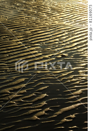 新舞子浜の砂紋 新舞子浜の砂紋 81169075