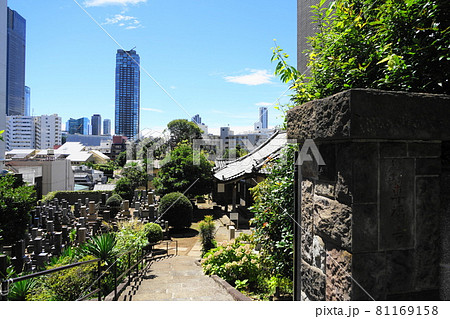 8月　港区461専福寺･赤坂七丁目 81169158