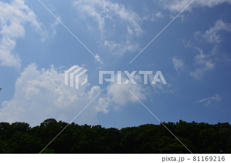 片倉つどいの森公園の夏　八王子市 81169216