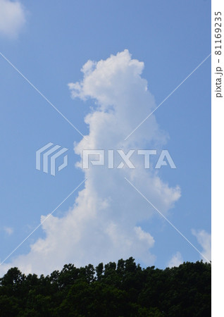 片倉つどいの森公園の夏　八王子市 81169235