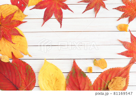 秋色のドライリーフと白い木目のフレーム 81169547