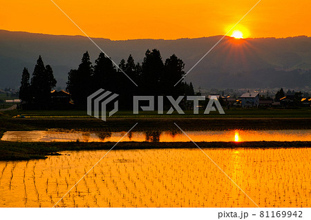 初夏の田園風景(夕暮れ) 初夏の田園風景(夕暮れ) 81169942