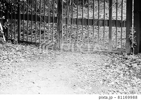 門で閉ざされた敷地　モノクローム 81169988
