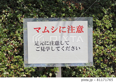 マムシに注意の看板 81171765