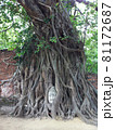 アユタヤ遺跡にある長い年月をかけて木に覆われた仏の頭 81172687