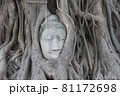 アユタヤ遺跡にある長い年月をかけて木に覆われた仏の頭 81172698