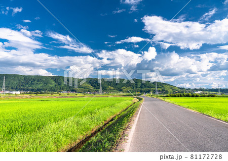 《鳥取県》田園風景と夏の空・のどかな田舎の風景 《鳥取県》田園風景と夏の空・のどかな田舎の風景 81172728