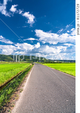 《鳥取県》田園風景と夏の空・のどかな田舎の風景 《鳥取県》田園風景と夏の空・のどかな田舎の風景 81172729