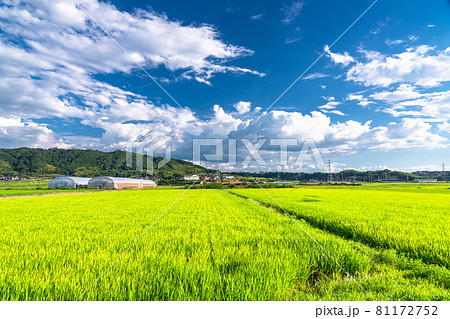 《鳥取県》田園風景と夏の空・のどかな田舎の風景 81172752