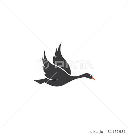 Swan logo Swan logo 81172981