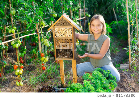 Little girl and insect hotel Little girl and insect hotel 81173280