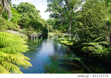 ニュージーランド・クライストチャーチ ニュージーランド・クライストチャーチ 81173779