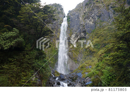ニュージーランド　デビルズ・パンチボウル滝 81173803