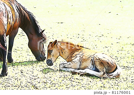 パステル調　”ポニーの親子”　イラストイメージ 81176001