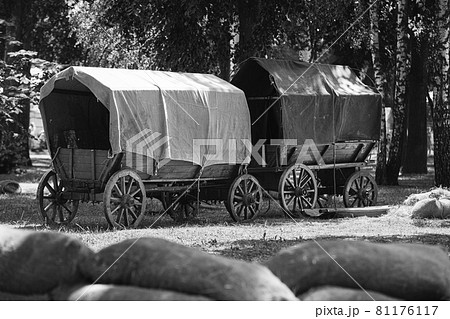 Russian Soviet World War II Peasant Carts In Forest. WWII Equipment Of Red Army Russian Soviet World War II Peasant Carts In Forest. WWII Equipment Of Red Army 81176117