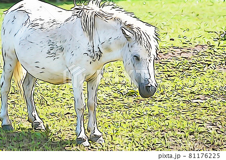 パステル調 1頭の白いポニー イラストイメージのイラスト素材