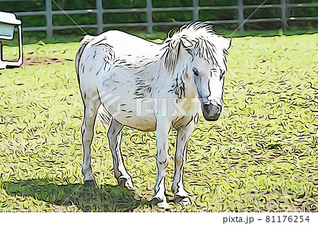 パステル調 1頭の白いポニー イラストイメージのイラスト素材