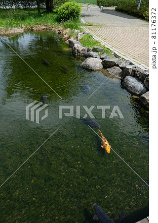 XT2義民の里その3 XT2義民の里その3 81176372