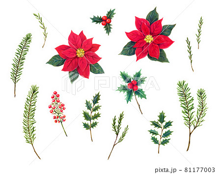 クリスマスの飾り 花 植物の水彩イラスト素材セットのイラスト素材