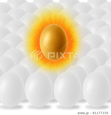 chicken egg and shadow on white background chicken egg and shadow on white background 81177150
