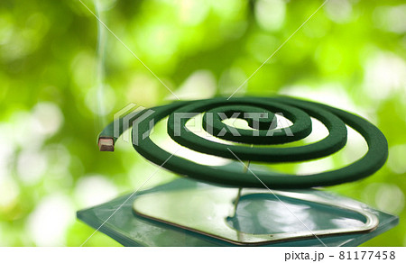 蚊取り線香 81177458