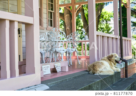 洋館と犬 洋館と犬 81177870