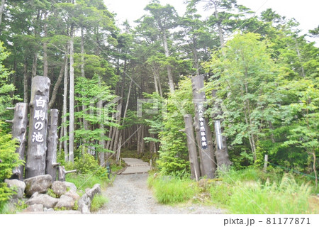 白駒の池入り口 81177871