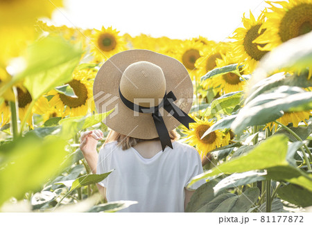 Young beautiful girl walking in the field with sunflowers Young beautiful girl walking in the field with sunflowers 81177872