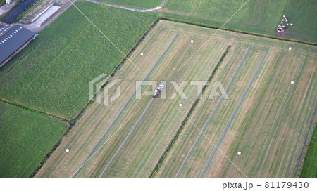 Agricultural tractor collects mowed grass for agricultural use and wraps hay bales in a plastic field Agricultural tractor collects mowed grass for agricultural use and wraps hay bales in a plastic field 81179430