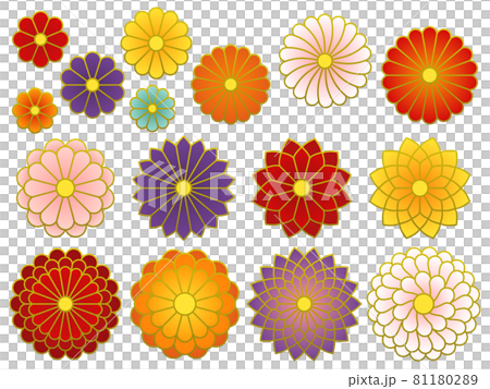 Japanese style chrysanthemum icon set 81180289