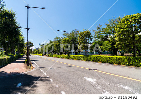 もうすぐ多摩川 多摩川住宅交番前 夏の青空 東京都調布市染地 もうすぐ多摩川 多摩川住宅交番前 夏の青空 東京都調布市染地 81180492