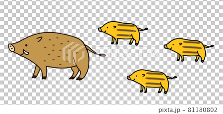 イノシシの親子のイラスト イノシシの親子のイラスト 81180802