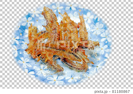 見栄えは良くないが家庭的で素朴な自宅調理の「鰯の骨煎餅」水彩画風  絵手紙 81180867