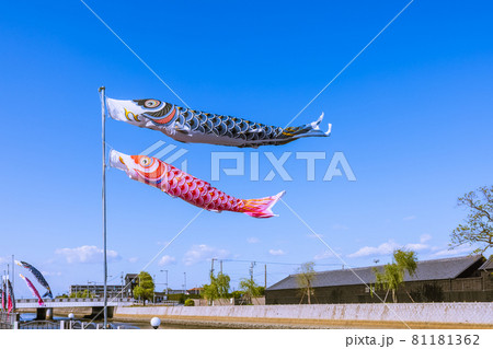 鯉のぼり 午後の半田運河沿いはんだ蔵のまち 鯉のぼり 午後の半田運河沿いはんだ蔵のまち 81181362