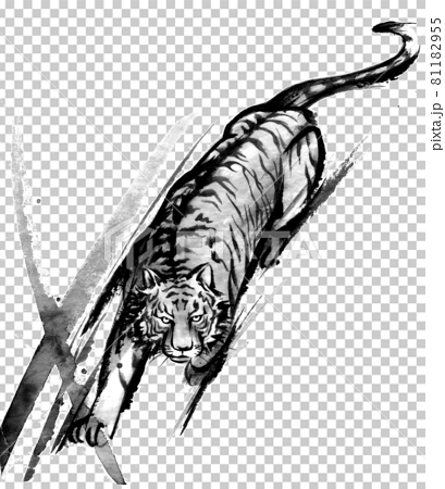 躍動感のある虎の水墨画のイラスト素材