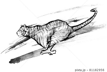 Ink Painting Of A Running Tiger Stock Illustration