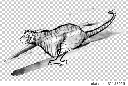 Ink painting of a running tiger Ink painting of a running tiger 81182956