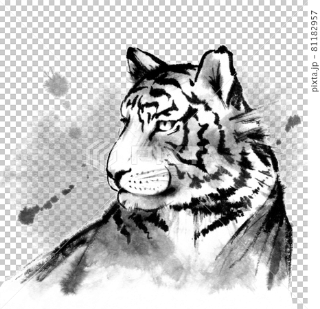 虎墨画 リアルな虎の頭部の水墨画（背景あり）のイラスト素材 [81182957] - PIXTA