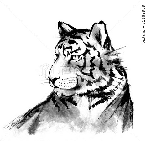 リアルな虎の頭部の水墨画のイラスト素材