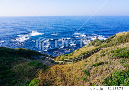 海に向かって城ヶ島の崖を下る道 81183734