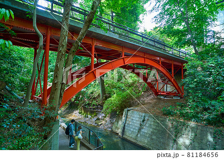 東京都世田谷区の等々力渓谷に架かる赤いゴルフ橋と新緑 81184656