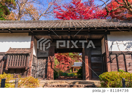 紅葉の東山動植物園〈愛知県名古屋市〉 81184736