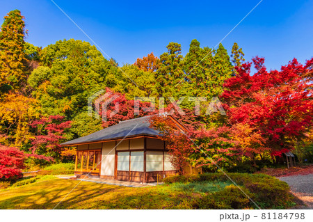 紅葉の東山動植物園〈愛知県名古屋市〉 81184798