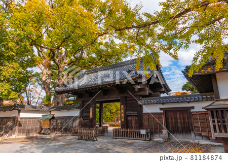 紅葉の徳川園〈愛知県名古屋市〉 紅葉の徳川園〈愛知県名古屋市〉 81184874