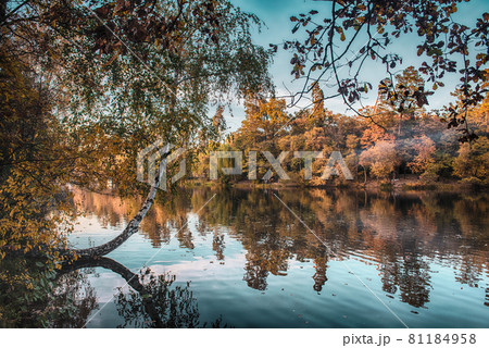 Autumn beautiful lake 81184958