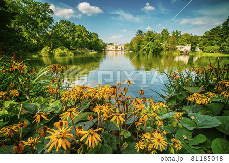 Lazienki Park in Warsaw 81185048