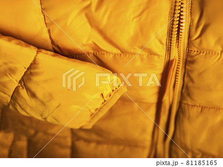 Warm yellow jacket close up 81185165
